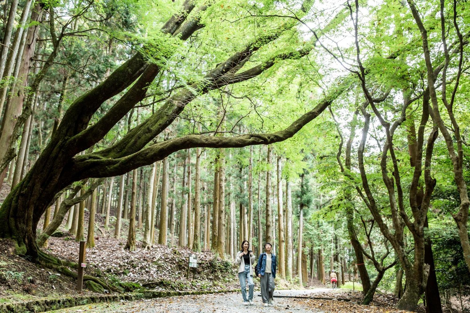 Ando Hotel Nara Wakakusayama -Dlight Life & Hotels- Dış mekan fotoğraf